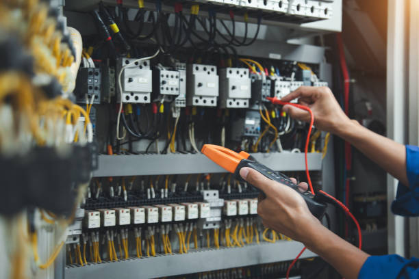 Best Electric Panel Repair  in Appleton City, MO